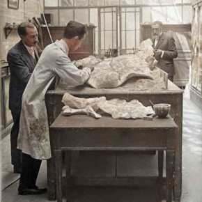 Descubriendo la Historia de la Tortuga Gigante de&nbsp;Madrid