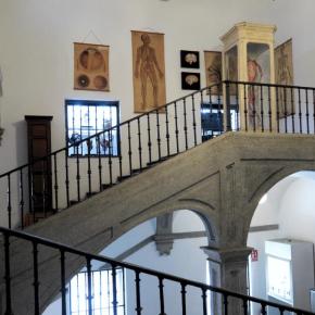 EL MUSEO DEL INSTITUTO SAN ISIDRO: UNA JOYA EDUCATIVA EN EL CORAZÓN DE&nbsp;MADRID