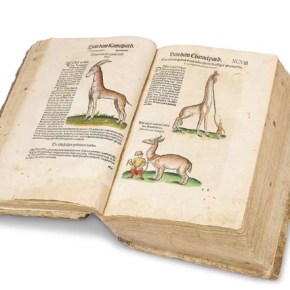 Un botánico real en México: Francisco Hernández y la primera expedición científica de la Edad&nbsp;Moderna